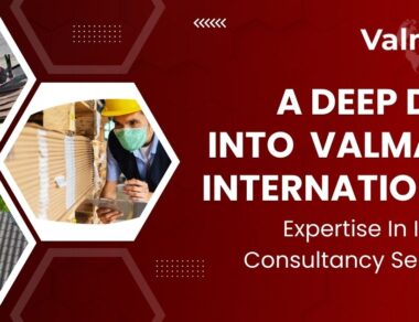 Consultancy Services in India